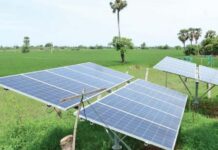 Scrap Private Solar Project In Virudhunagar District, Farmers Tell Govt