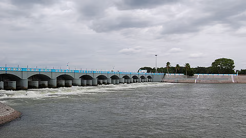 2091740-rasimanal-.jpg