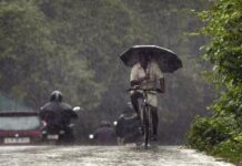 With Rains In Rayalaseema, Farmers In The Region Get Busy With Sowing