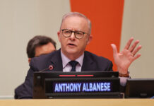Australian PM Albanese Says OpenAI Hacked Government Health Website
