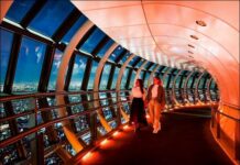 Discover Tokyo After Sunset: An Evening at TOKYO SKYTREE®