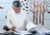 Naidu Tells Collectors To Stay Alert As Rains Continue
