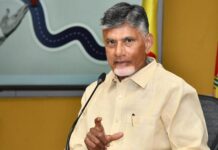 Rayalaseema Set to Become Global Fruit Bowl With World-Class Horticulture Hub