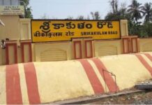 Wasp Attack Injures 18 Schoolchildren in Srikakulam