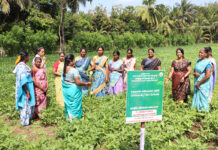 Uncertainty Looms Over World Bank-Assisted Rural Project in Tamil Nadu