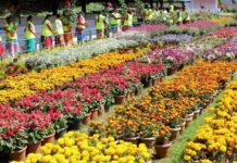Autumn Rains, Blooms Charm Tourists in Nilgiris