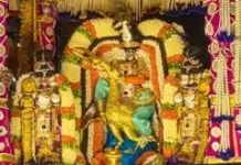 7 Injured As Hot Sambar Spills At Temple
