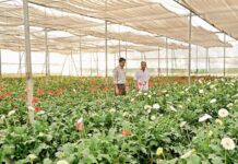 Nandyal Gets ₹986.63 Crore Horticulture Development Plan