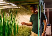 Enveda secures $311M to bring more nature-derived AI drugs into clinical trials