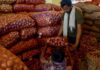 Onion Prices Rise 82% In Three Months Ahead Of Festive Season: What’s Behind The Surge?