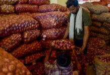 Onion Prices Rise 82% In Three Months Ahead Of Festive Season: What’s Behind The Surge?
