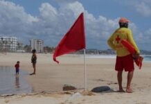 Mexico’s Pacific coast braces for Hurricane Polo