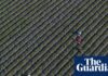 Key data missing for half of US child labor deaths, official report finds