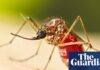 Dengue fever outbreak prompts Florida counties to declare state of emergency