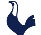 Tottenham are ‘fragile’ admits under-pressure boss De Zerbi after defeat to Aston Villa