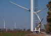 California and New York sue over Trump push to halt wind energy projects