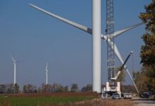 California and New York sue over Trump push to halt wind energy projects