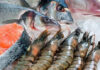 Iran’s fishery products export capacities outlined