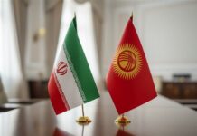 Targeted development of trade relations between Iran, Kyrgyzstan necessary: TPO head