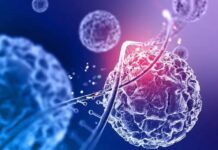 Royan Institute findings highlight MSCs’ potential for cell-based ASD therapy