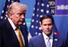 ICC blacklist plan prompts US senator’s calls to sanction Trump and Rubio