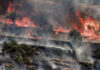 Israel’s climate crimes