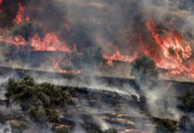 Israel’s climate crimes