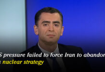 US pressure failed to force Iran to abandon its nuclear strategy: Sina Azodi