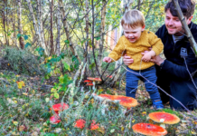 Why families are being urged to look closer on autumn walks