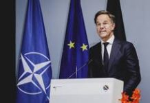 NATO troops injured in friendly fire training incident