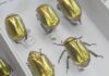 How AI is creating a UK super-museum and revealing our planet’s history