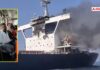 Indian Sailor Suraj Yadav Killed After Torpedo Attack On Ship Off Oman Coast