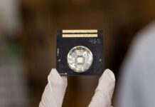 AI Models Built From Rat Brains Just Got Closer to Reality