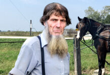 Amish Man Ashamed To Learn He Logging Over 5 Hours Of Horse Time Per Day
