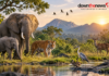 Top 20 Animal & Wildlife News Stories for today Tuesday September 22 2026
