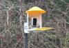 An Editor’s Picks: The Best Gifts for Bird Lovers