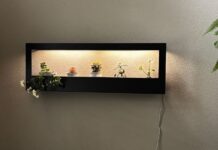 19 Best Gifts for Plant Lovers and Gardeners (2026)