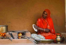 ‘It Was All Cacti’: Ex-Army Officer & His Wife Turn Barren Udaipur Land Into Flourishing Homestay