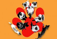 Welcome to Dogs Anonymous, the Online Support Group for People With Difficult Dogs