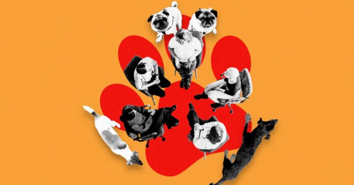 Inside-Support-Group-Bad-Dogs-Culture.jpg