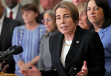 Massachusetts’ plan to offer postpartum screening home visits sparks online debate