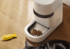Petlibro’s new AI-powered feeder is a game changer for multi-cat homes