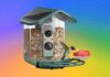 Kiwibit Bird Feeder 2 Pro Review: Premium but Paywalled