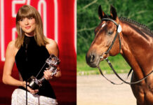 Taylor Swift Surpasses Geppetto The Incredible Waltzing Horse As Most-Awarded VMAs Artist