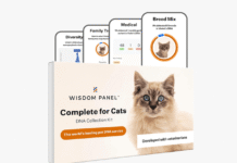 What’s the Best Pet DNA Test? We Tested the Most Popular Ones