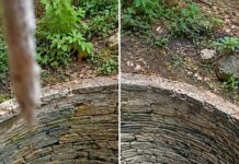 This Bengaluru Well Was Treated Like A Dustbin Until Residents Revived It to Hold 43,000 Litres of Water