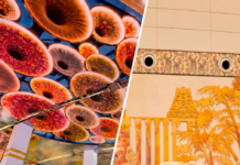 From 400-Year-Old Crafts To Handwoven Art: Inside an Airport Inspired by Andhra’s Local Culture