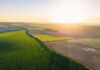 Farmers’ fury at online scramble for £233m funding