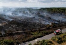Lives ‘will be lost’ unless UK does more to combat wildfires, committee chair says