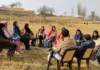 No Fees, Walls, Syllabus: Every Sunday, 30 Kids in Kashmir Learn From the Wetlands Themselves